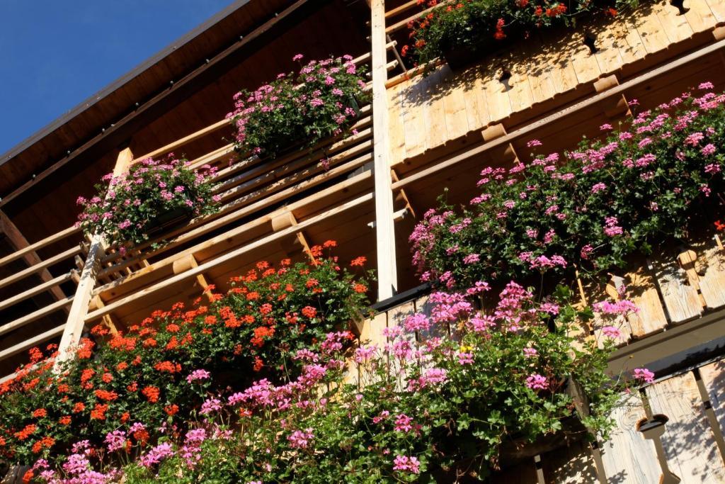 Albergo Centrale Forni di Sopra Exteriér fotografie